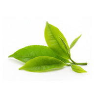 Cafeína Anhidra + Extracto de Té Verde